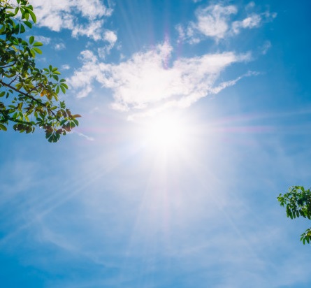 Vitamina D