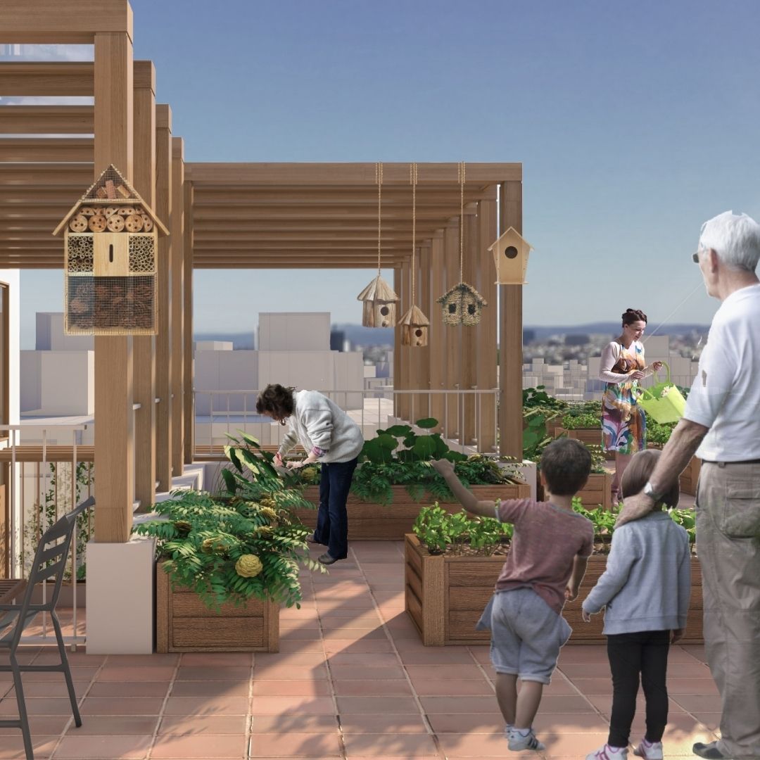 Contribuir a la Biodiversidad Urbana